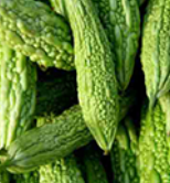 Bitter Melon